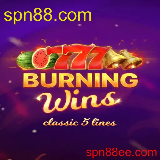 BurningWins